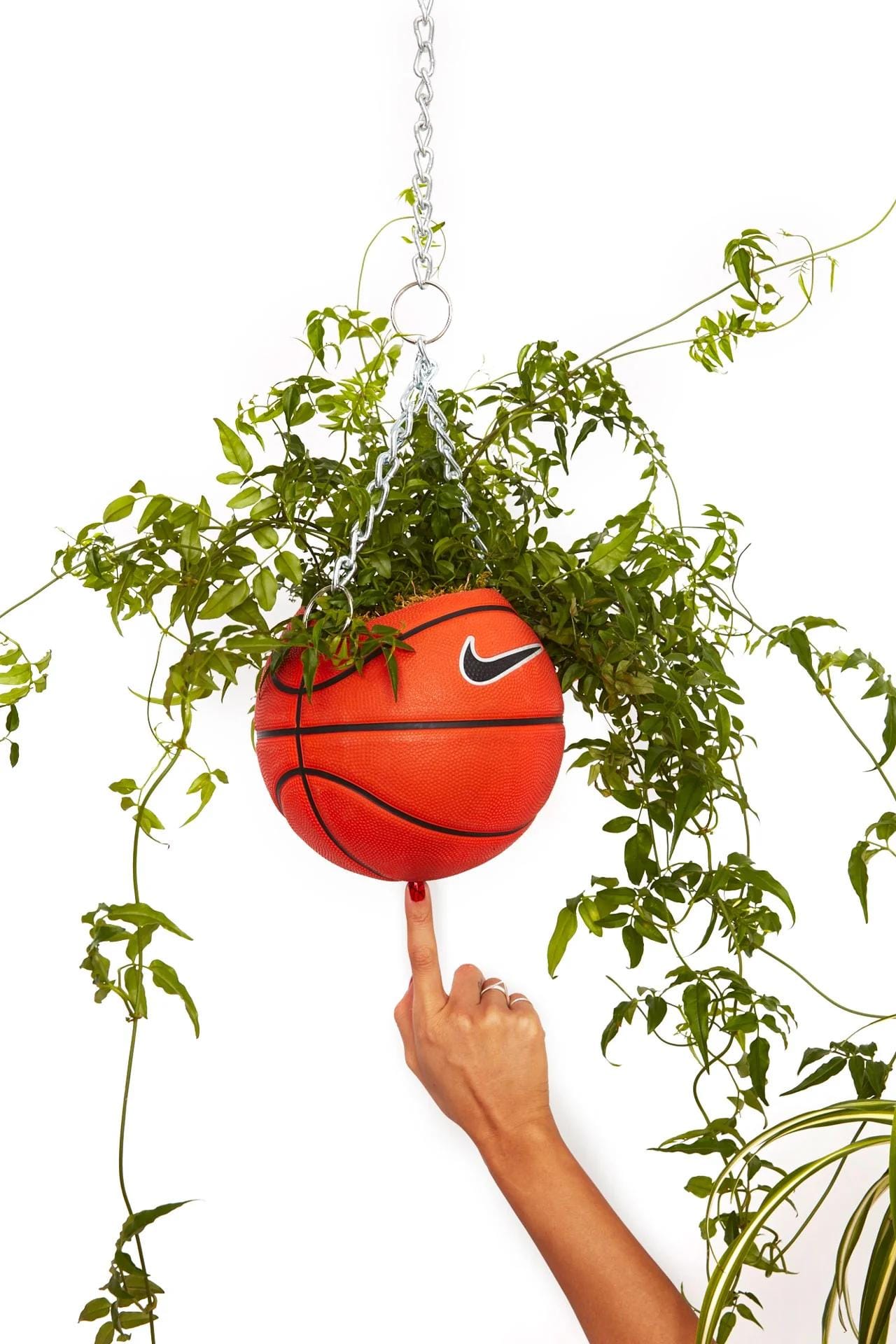 a Nike basketball being used as a hanging plant pot